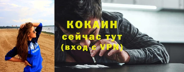 МДМА Бородино