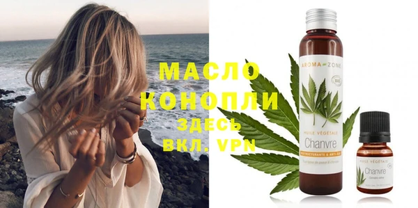 гидра Богородск