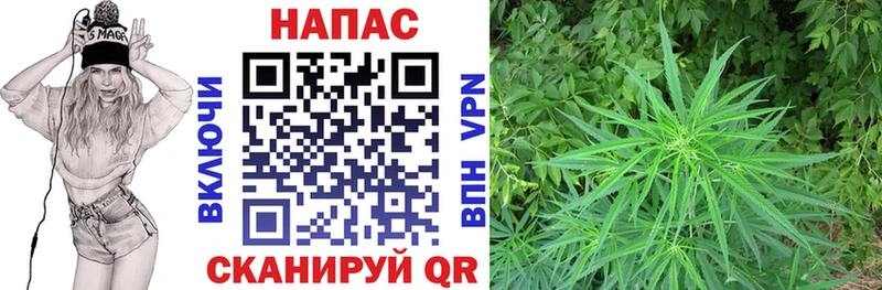 OMG ССЫЛКА  Новосокольники  МАРИХУАНА OG Kush 